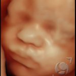 3D HD Silhoutte 14