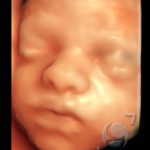 3D HD Silhoutte 15