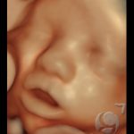 3D HD Silhoutte 16