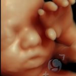 3D HD Silhoutte 17
