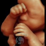 3D HD Silhoutte 2