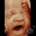3D HD Silhoutte 26