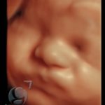 3D HD Silhoutte 6