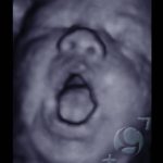 Foto 3D 23
