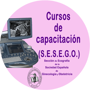 cursos-capacitacion-ecografia-sesego